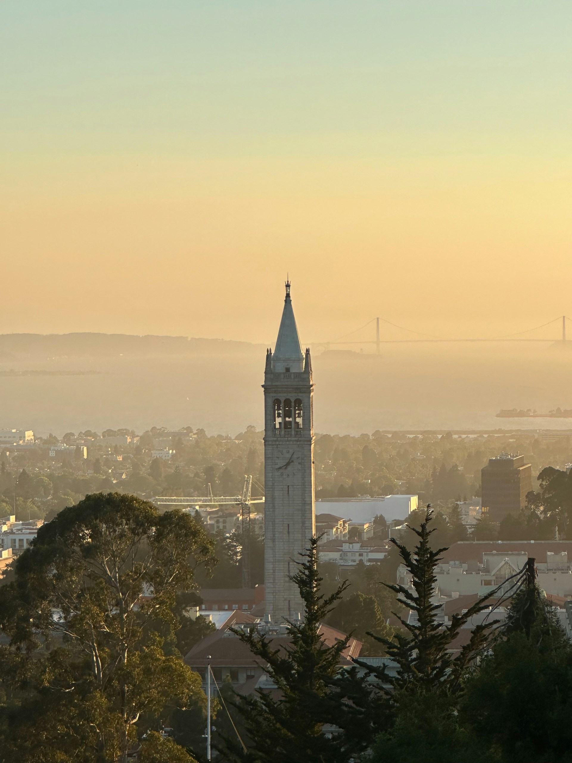 5th International Conference on Current Issues in Coincidence Analysis